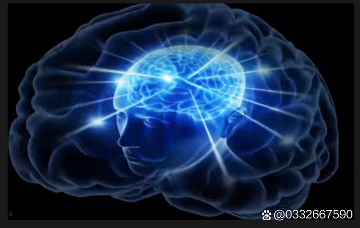 吃瓜网每日大赛 - 理性吃瓜人 吃瓜网每日大赛 - 理性吃瓜人头像